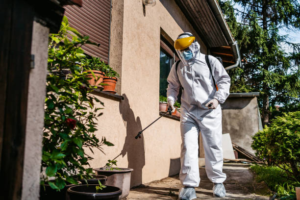 Best Termite Control Services  in Missouri City, TX