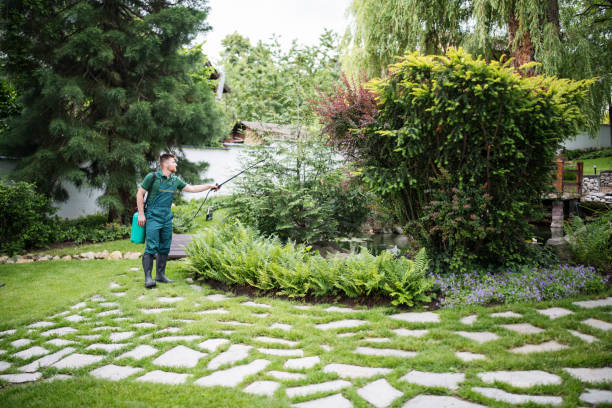 Best Commercial Pest Control Services  in Missouri City, TX