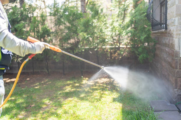 Best Local Pest Control Services  in Missouri City, TX