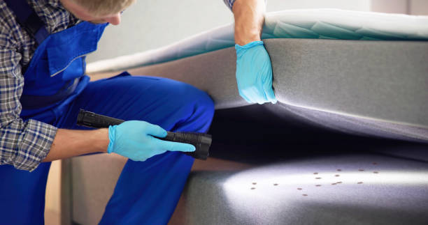 Best Best Pest Control Companies  in Missouri City, TX