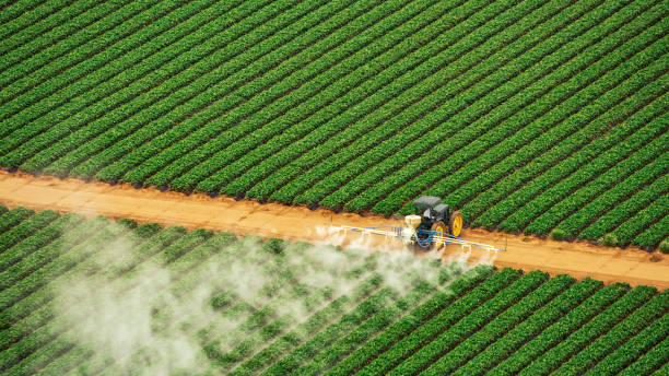 Trusted Missouri City, TX Pest Control Experts