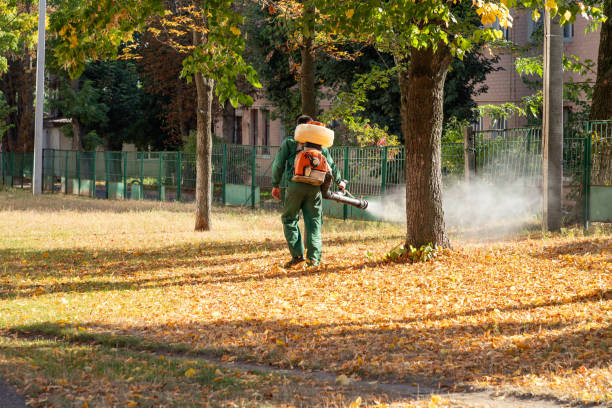 Best Emergency Pest Control  in Missouri City, TX
