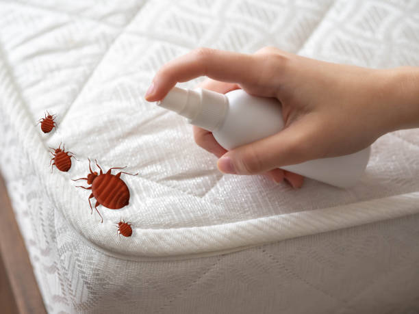 Best Pest Control Near Me  in Missouri City, TX