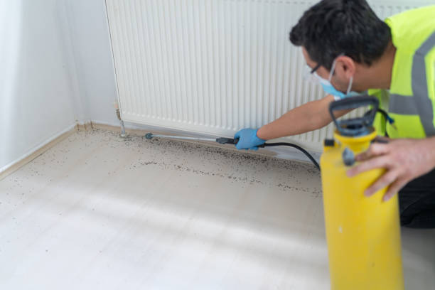 Best Pest Control Cost  in Missouri City, TX